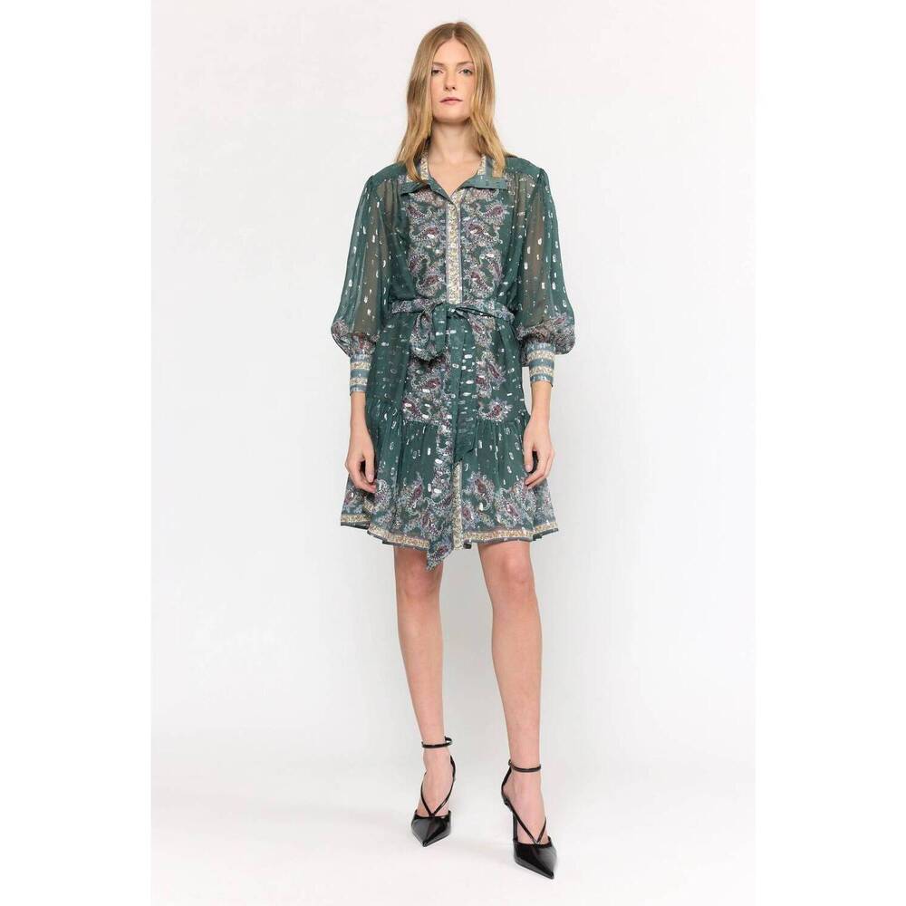 NEW CHRISTY LYNN emi mini dress in reseda paisley green